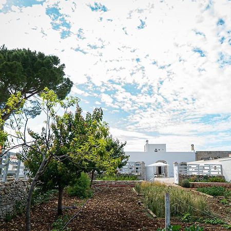 Le Masserie Zucaro Castel Del Monte  Kültér fotó
