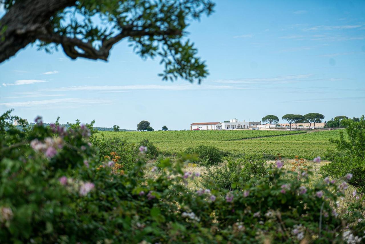 Le Masserie Zucaro Castel Del Monte  Kültér fotó